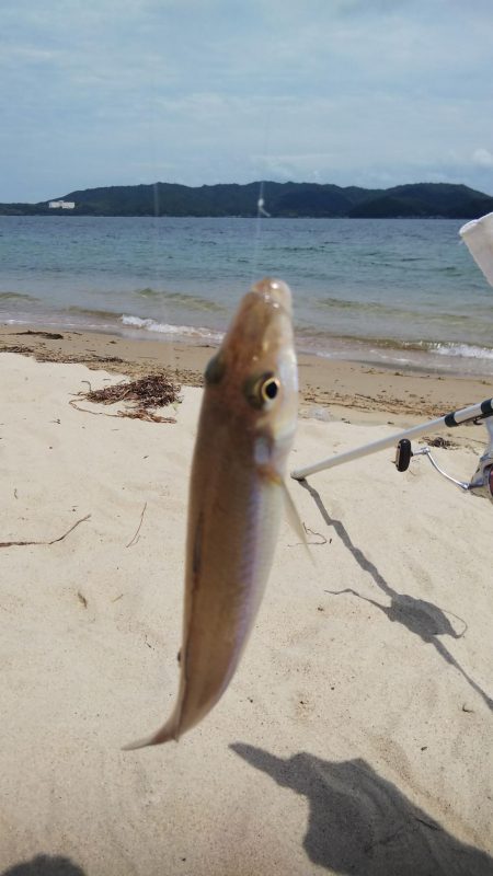 梅雨の合間のキス釣り